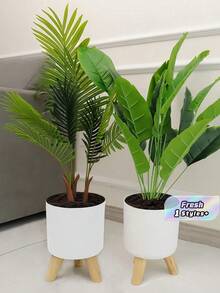 圓形木製植物盆架，地板花盆升高支撐架，現代園藝盆栽與綠色植物置物架 - 類型1 - 查看 1