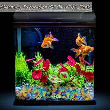 10/50/100 pièces Pierres de décoration d'aquarium lumineuses, rochers ornementaux en forme de vie marine mignons et brillants, décorations de réservoir de poissons colorées styles aléatoires, convient pour le réservoir de poissons, le jardin, l'étang, les loisirs créatifs - A - Voir 3