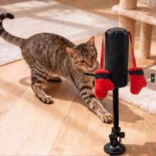 1 pieza/Saco de boxeo para gatos, juguete de actividad divertida para gatos, juguete de ejercicio para gatos con guantes de boxeo colgantes - Multicolor - Ver 4