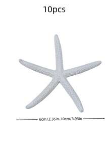 4/6/8/10pcs Natural Conch Shell Five Finger Tyrant Mantis Starfish Specimen Mediterranean Platform Decoration Ocean Decoration Wall Decoration Series Home Decoration - multicolor - View 12