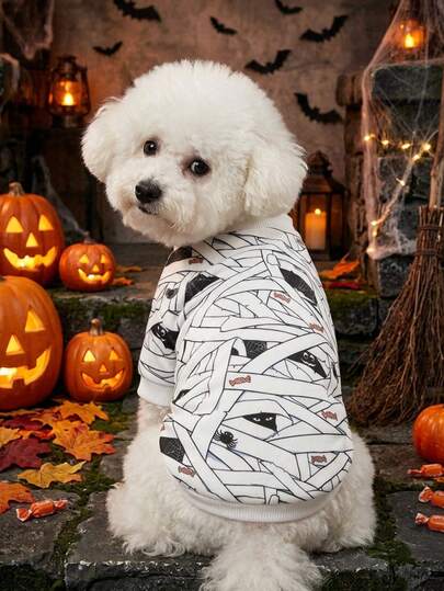 PETSIN 1 pieza Ropa para mascotas con estampado de araña de Halloween y vendaje, bloques de color, cálida