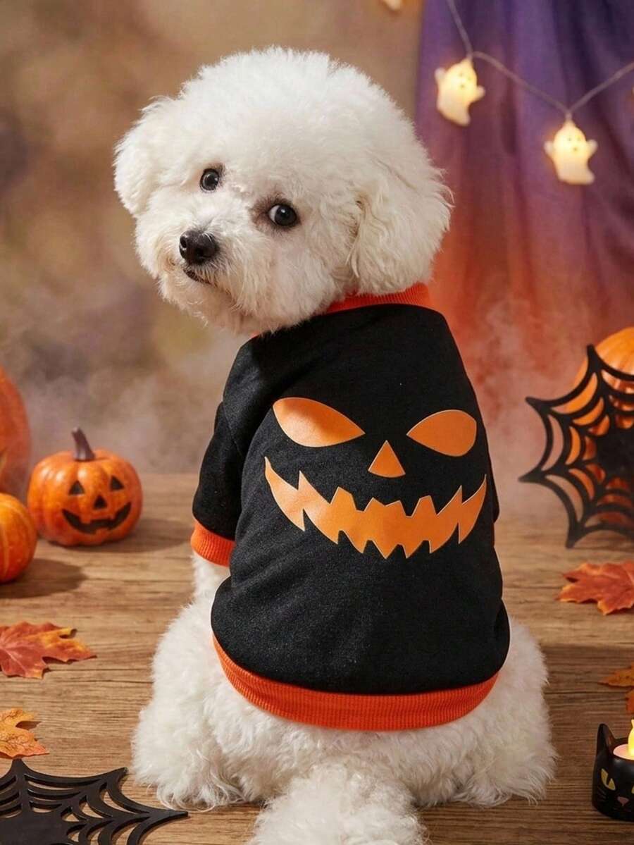 PETSIN 1 Pc Terrifying Pumpkin Halloween Printed Clothes Black Splicing Cat And Dog Warm - Multicolor - View 1