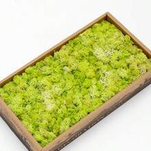 0.71oz 人造仿真苔蘚，DIY 模擬苔蘚草微景佈局，綠色植物草坪盆栽窗台裝飾景觀設計 - 草綠 - 查看 1