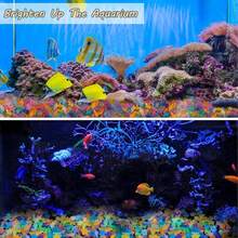 10/50/100 pièces Pierres de décoration d'aquarium lumineuses, rochers ornementaux en forme de vie marine mignons et brillants, décorations de réservoir de poissons colorées styles aléatoires, convient pour le réservoir de poissons, le jardin, l'étang, les loisirs créatifs - A - Voir 6