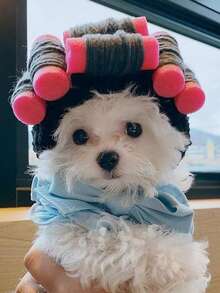 PETSIN 1件裝 Ins 爆紅韓式燙髮捲髮寵物帽子，趣味 Cosplay 頭飾，適用小型犬與貓 - 黑色 - 查看 4