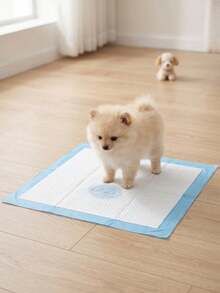 100-Count Pet Pads, Thickened Super Absorbent Disposable Dog Potty Training Pads, Leak-Proof & Odor-Eliminating Cat Liner Pads - one-size - View 7