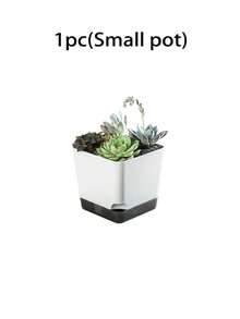 Haus Hana 8pcs Self-Watering Succulent Plant Pots, Minimalist Square Plastic Flower Planters, Small Desktop Plant Pots With Drainage For Cactus, Herbs, Home Office Windowsill Decor, Leak-Proof & Breathable Nursery Pots, Great For Housewarming, Birthday Gifts, Aesthetic Gardening Essentials For Everyday & Special Occasions - multicolor - View 8