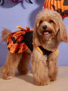 PETSIN 萬聖節狗狗角色扮演洋裝,南瓜骷髏女巫蜘蛛圖案小型犬寵物服裝 - 橘色 - 查看 10