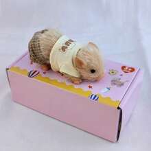 MINKOJA 1PC Silicone Piglet Doll About 12cm Lifelike Exquisite Little Pig Dolls Desktop Decoration, Birthday Gift, Decompression Toy - Bow pig - View 11