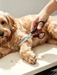 Pet Grooming Scissors Set For Dogs & Cats – Round-Tip Stainless Steel Trimming Shears For Dog Eyes, Professional Home Grooming Tools For Small & Large Animals - Black - View 4