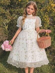 Wedding Season Girls' Elegant Tulle Embroidered Petal Sleeve Cinched Waist Fluffy Dress, Ball Gown For Dance, Performance, Party, Birthday - White - View 1