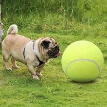 Extra Large Durable Dog Tennis Ball - 24cm, Made Of Rubber, Suitable For Large Dogs Interactive Toy, Ideal For Outdoor Games - Multicolor - View 6