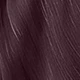 Bold Plum
