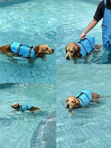 1pc Dog Life Jacket Reflective Adjustable Summer Large Dogs Swimwear Vest Surfing Sailboat Enhanced Buoyancy Pet Life Jacket Reflective Dog Life Jacket For Secure Water And Ocean Frolic - Multicolor - View 2