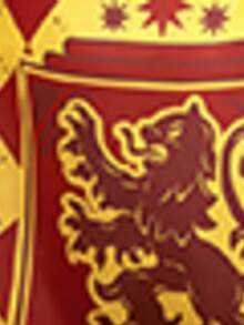 HARRY POTTER X Joivida 魔法世界可重複使用購物袋 – 紅金學院配色，舒適購物必備，刺繡細節，寬敞耐用，日常購物、海灘、圖書館或魔法主題度假必備 - 紅黃 - 查看 9