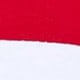 متعدد الألوان
