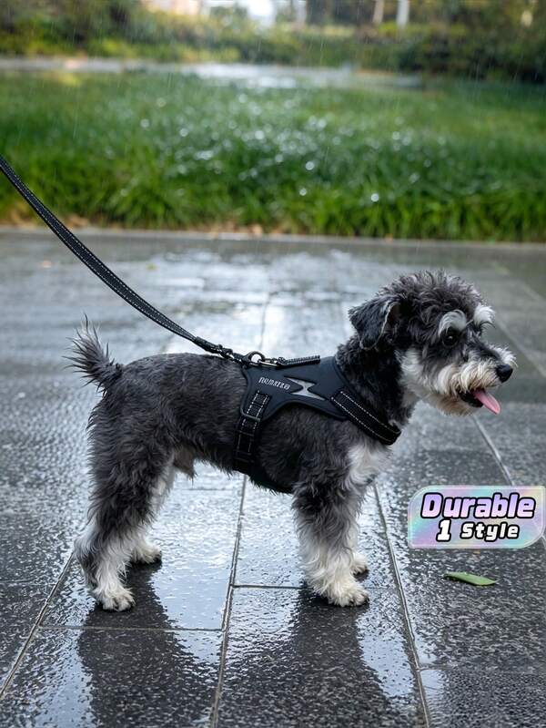 Dog Leash For Small Dogs, Chest And Back Harness For Dogs, Dog Leash For Small Dogs, Back-Style Dog Collar For Small Dogs, Poodle Dog Leash, Dog Leash For Small Dogs.