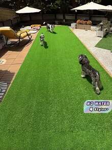 2捲人造草皮 簡易安裝免工具 低維護 耐用逼真綠色 適用婚禮、花園、庭院、派對、居家、商業室內外裝飾 - 人造草坪 - 查看 1