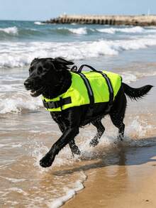 Pet Life Jacket Pet Swimming Safety Vest Outdoor Play Buoyancy Vest Portable For Outings And Swimming - Cadet Blue - View 2