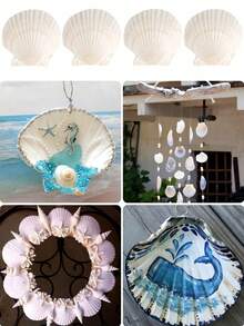 5/10/20 cái vỏ sò tự nhiên lớn 7-8cm dùng để vẽ DIY, làm trang sức, đạo cụ chụp ảnh tại nhà, trang trí đám cưới, đồ thủ công quà tặng - A - Xem 2