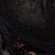 الأسود