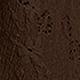 Mocha Brown