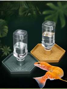 1 pieza Alimentador automático de agua para reptiles de plástico ligero y liso, bandeja de bebida estable antideslizante para tortuga, lagarto semiacuático, dragón barbudo, tortuga de agua, hábitat de cría, terrario, decoración y suministros para reptiles - Multicolor - Ver 2