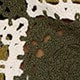 متعدد الألوان