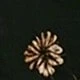 الأسود