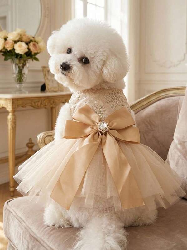 PETSIN 1 Piece Champagne Princess Style Pet Dress, Small Mother Dog And Cat Clothes, Suitable For Wedding And Birthday Photo Outfits, Suitable For Wedding Companions And Birthday Parties To Wear Wedding Dresses