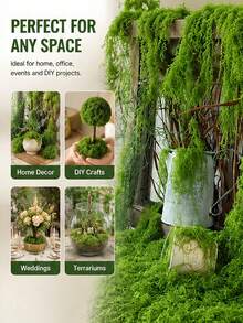 150/200/300/500/700g Realistic Artificial Moss Lawn, Lifelike Faux Moss For Micro Landscape Decor, Vivid Green Plant Turf, Perfect For Micro Landscapes, Greenery Lawns, Potted Plants, Windowsill Decor, - Multiple Styles - View 8