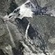 Nhiều màu