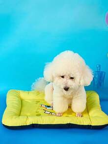 SpongeBob SquarePants | PETSIN 1個黃色圖案寵物窩，柔軟高回彈墊子配舒適絨毛內裡，防滑底座，可愛卡通設計，適合小型、中型及大型貓狗的舒適睡眠床 - 黃色 - 查看 2