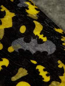 Batman X PETSIN 1件黃黑蝙蝠印花寵物毯，黑色邊緣設計，親膚柔軟絨毛面料，可雙面使用且可水洗，適合貓狗作為寵物毛巾或沙發套，適用於沙發、床鋪、籠子或旅行 - 黑色 - 查看 7