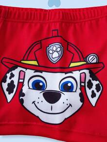SHEIN | PAW Patrol 4pcs Young Boy Boxer Briefs, Gray, Blue, Red, Yellow With Cute Puppy Graphic - Multicolor - View 6