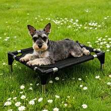 Dog Bed, Camping Bed, Hammock, Sofa, Pet Bed, Indoor And Outdoor, Durable, Comfortable, Cool, Suitable For Cats And Dogs - Black - View 9
