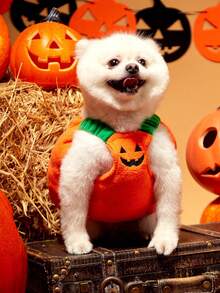 PETSIN 1pc Small To Medium Dog Halloween Funny Cat Pumpkin Costume Pet Cosplay Outfit - Orange - View 2