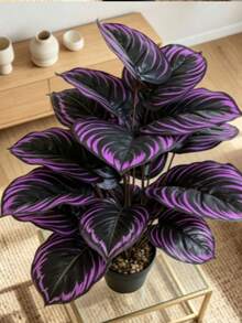 仿真綠色植物紫羅蘭 18/24 頭盆栽裝飾 - 紫色 - 查看 2
