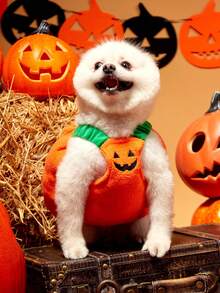 PETSIN 1pc Small To Medium Dog Halloween Funny Cat Pumpkin Costume Pet Cosplay Outfit - Orange - View 3