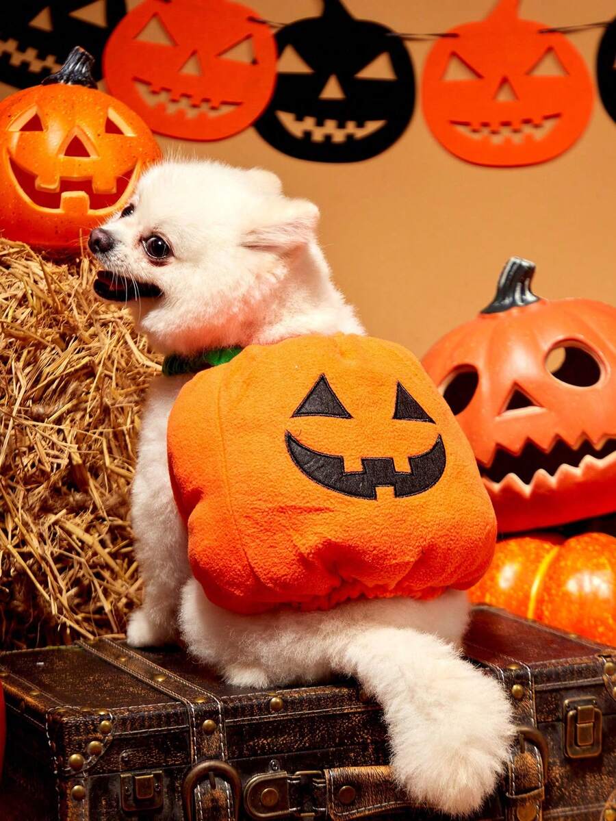 PETSIN 1pc Small To Medium Dog Halloween Funny Cat Pumpkin Costume Pet Cosplay Outfit - Orange - View 1