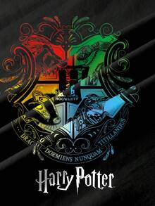 HARRY POTTER X SHEIN تي شيرت بأكمام قصيرة بطبعة شارة كاملة للفتيات المراهقات - أبيض - مشاهدة 7