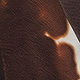 Coffee Brown