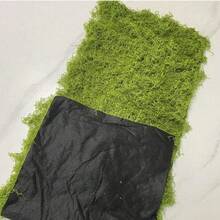 1入人造苔蘚地毯 仿真苔蘚草坪墊 桌面迷你花園裝飾盆栽覆蓋飾品 適用居家、婚禮與派對布置 - A - 查看 2