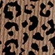 MultiWarna