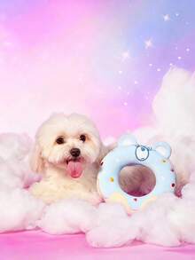 Care Bears X PETSIN 1個藍色心形熊甜甜圈狗發聲玩具，內置BB發聲器，互動式尖叫毛絨玩具，適合小型/中型犬，可磨牙潔牙，適用於室內遊戲、後院玩耍、旅行，也是獨特的個性化寵物週年或生日禮物 - 藍色愛心熊甜甜圈 - 查看 5