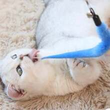 1.8M Telescopic Cat Teaser Wand, 4-Section 360° Flexible Replaceable For Stimulating Cat's Joy (Bell Random Colors) - White - View 5