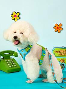 SCOOBY-DOO X PETSIN 小型犬與幼犬用狗牽繩背心胸背帶，寵物狗胸背帶牽繩鍊條，伸縮式狗散步繩 - 綠色 - 查看 5