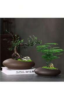Dudukan Pohon Keramik Besar untuk Anggrek, Dudukan Bonsai Anggrek, Pot Bunga - MultiWarna - View 6