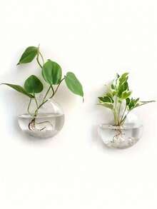 2/4PCS Wall Mounted Self Watering Hydroponic Clear Glass Round Hanging Planter Vase Modern Minimalist For Home Office Wall Art Indoor Greenery Display Decor - multicolor - View 3
