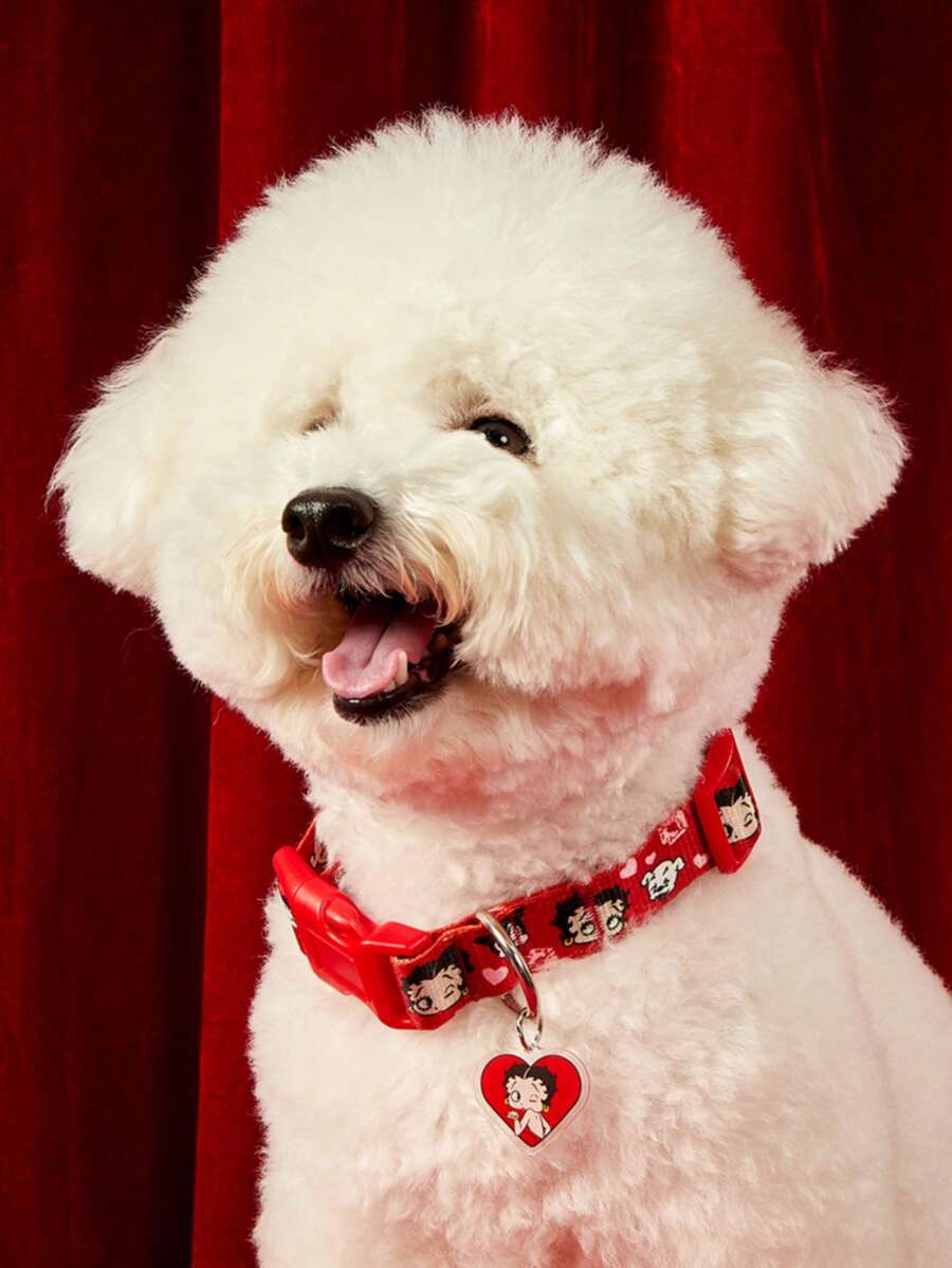 Betty Boop X PETSIN 印花狗項圈;印花幼犬項圈 - 紅色 - 查看 1